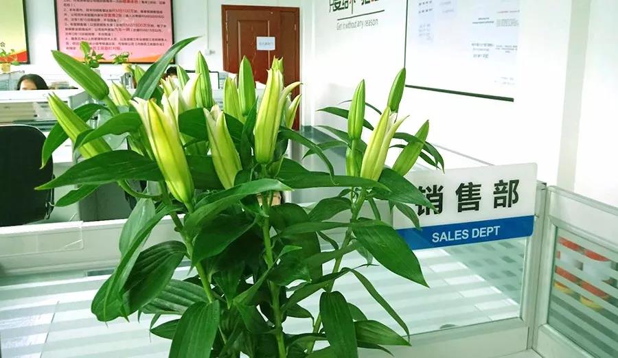 浓情七夕，最美祝福！